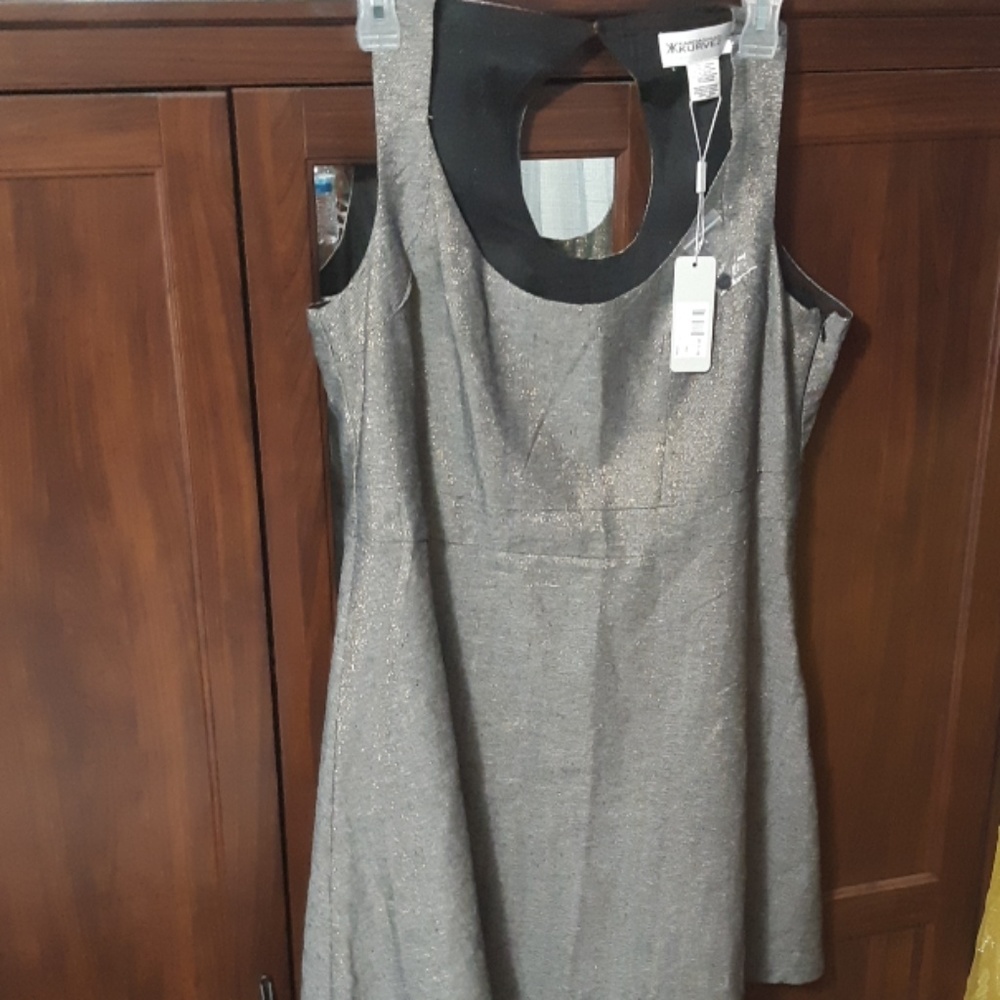 🤩 Kardashian Kurves size 18w Metallic Tank Dress
